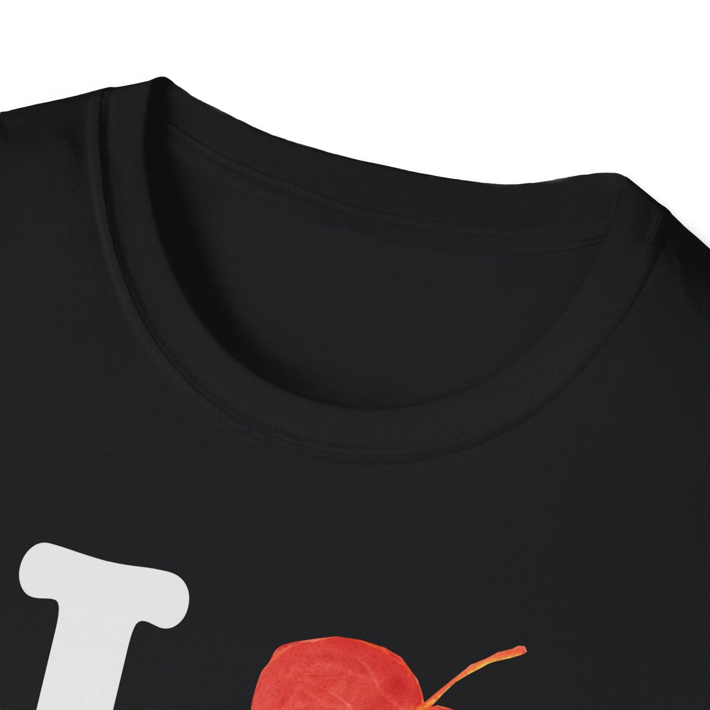 I Love Fall T-Shirt